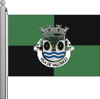 Bandeira do municpio de Valongo