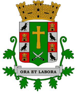 Arms of Patillas