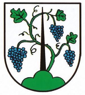 Wappen von Diedesheim / Arms of Diedesheim