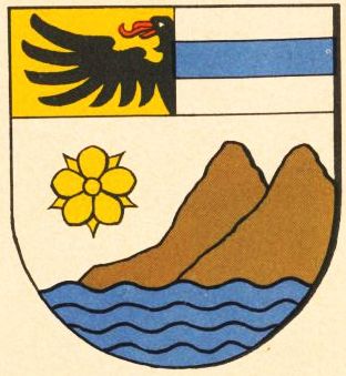 Wappen von Freudenberg am Main/Coat of arms (crest) of Freudenberg am Main