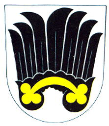 Coat of arms (crest) of Radostín nad Oslavou