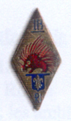 File:113th Infantry Regiment, French Army.jpg