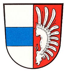 Wappen von Wölsauerhammer/Arms (crest) of Wölsauerhammer
