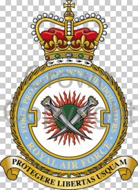 No 7 Force Protection Wing, Royal Air Force.jpg