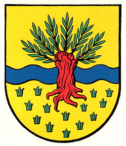 Wappen von Widnau