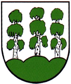 Wappen von Birkenhügel/Arms (crest) of Birkenhügel