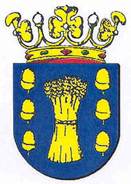 Wapen van Jouwer/Coat of arms (crest) of Jouwer