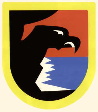File:41st Fighter-Bomber Wing, German Air Force.jpg
