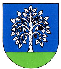 Wappen von Birkendorf