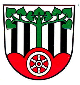 Wappen von Neustadt (Eichsfeld) / Arms of Neustadt (Eichsfeld)
