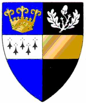 Coat of arms (crest) of Surrey