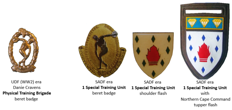 File:1 Special Training Unit, South African Army.png