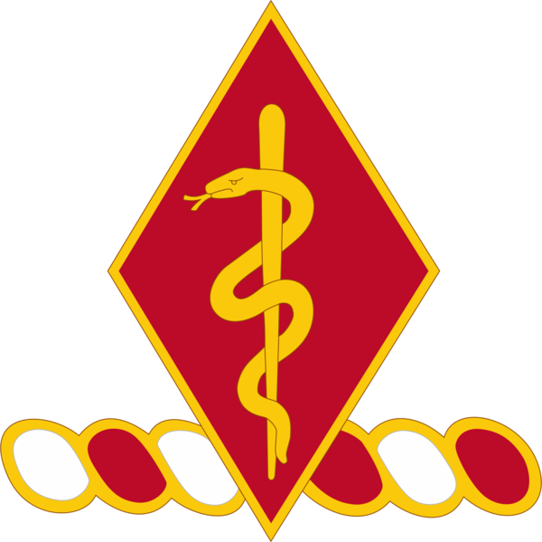 File:204th Support Battalion, US Army1.png