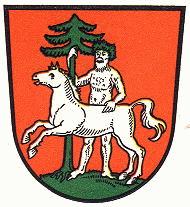 Wappen von Wildemann/Arms (crest) of Wildemann
