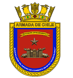 File:Marine Infantry Battalion No 41 Hurtado, Chilean Navy.jpg