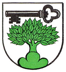Wappen von Steinenberg/Arms of Steinenberg
