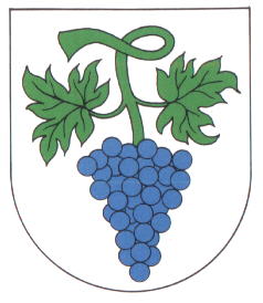 Wappen von Bottenau/Arms of Bottenau