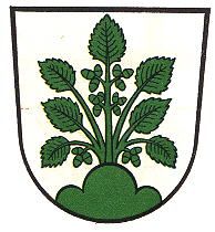 Wappen von Haslach im Kinzigtal/Arms (crest) of Haslach im Kinzigtal