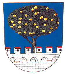 Arms of Lhenice