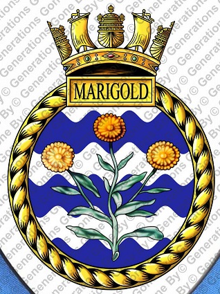 File:HMS Marigold, Royal Navy.jpg
