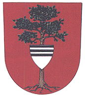 Coat of arms (crest) of Týniště nad Orlicí