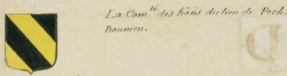 Blason de Pechbonnieu/Coat of arms (crest) of {{PAGENAME
