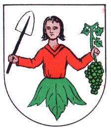 Wappen von Oberschüpf