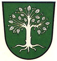 Wappen von Bocholt (Germany)/Arms of Bocholt (Germany)