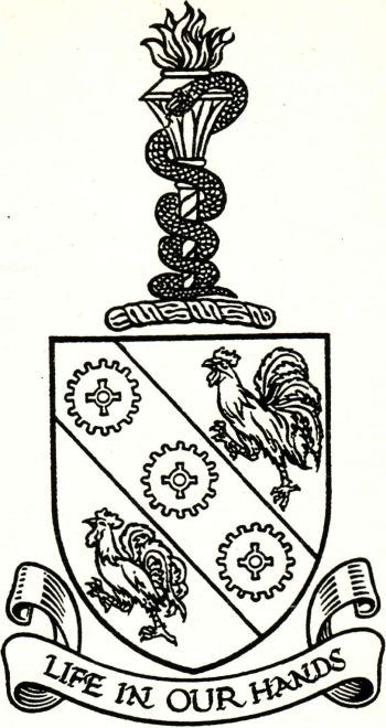 Arms of Institute of Hospital Engineering