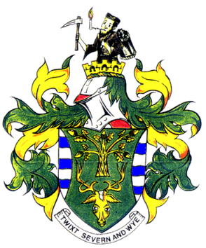 Arms (crest) of Forest of Dean