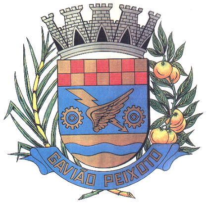 Arms of Gavião Peixoto
