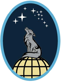 Coat of arms (crest) of the 13th Delta Operations Squadron, US Space Force
