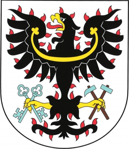 Coat of arms (crest) of Petrovice I