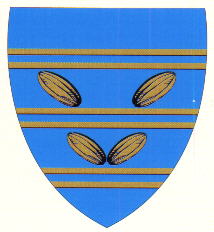 Blason de Mondicourt/Arms (crest) of Mondicourt