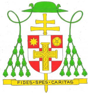 Arms (crest) of Martin Vidović