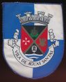 Brasão de Águas Santas (Maia)/Arms (crest) of Águas Santas (Maia)
