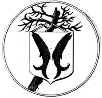 Wapen van Woudrichem/Arms (crest) of Woudrichem
