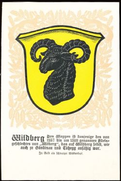 Wappen von/Blason de Wildberg (Zürich)