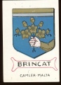 arms of the Brincat family