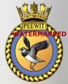 HMS Peewit, Royal Navy.jpg