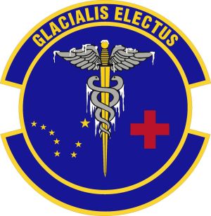 673rd Operational Medical Readiness Squadron, US Air Force.jpg