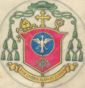 Arms of John Timon
