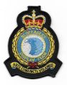 Blue Eagles Display Team, AAC, British Army.jpg