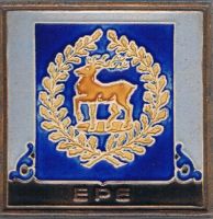 Wapen van Epe/Arms (crest) of Epe