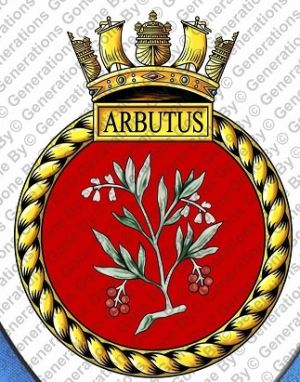 HMS Arbutus, Royal Navy.jpg