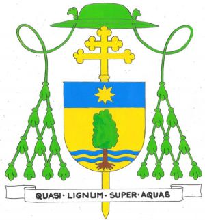 Arms (crest) of Piero Pioppo
