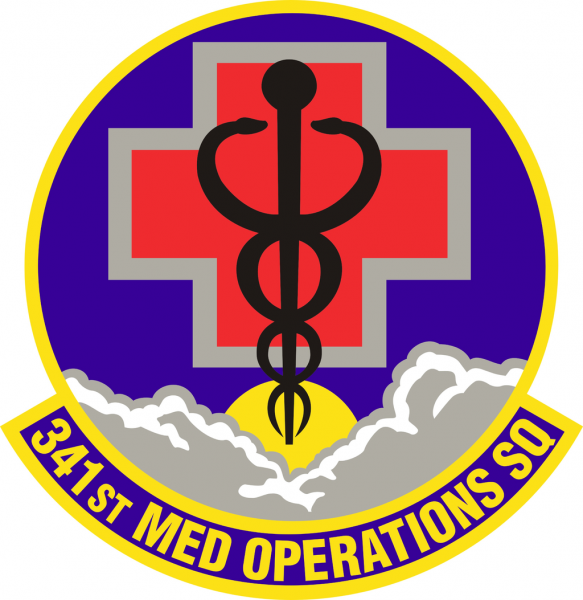 File:341st Medical Operations Squadron, US Air Force.png