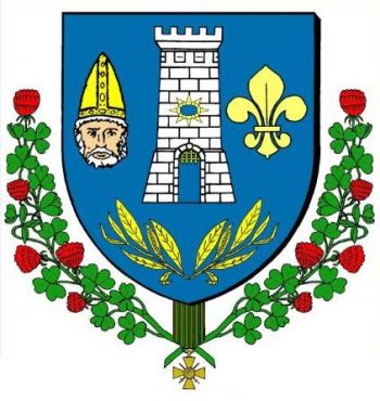 Blason de Saulmory-et-Villefranche/Arms (crest) of Saulmory-et-Villefranche