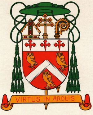 Arms of Joseph Patrick Hurley