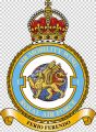 No 1 Air Mobility Wing, Royal Air Force1.jpg